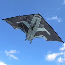 Smooth easy flying Yongjian aircraft kite adults special large professional stealth fighter umbrella