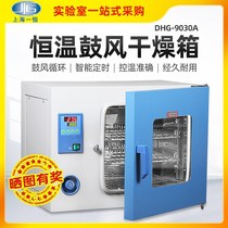Electric blast drying oven laboratory high temperature oven DHG9030A small constant temperature industrial oven