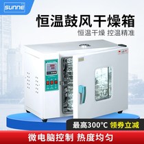 Shanghai electric constant temperature blast drying oven oven industrial oven laboratory aging drying box dryer