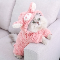 Pet cat clothes autumn and winter funny winter clothes funny warm and thick cute kittens autumn clothing spot wholesale