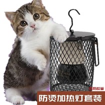 Reptile Lizard Snake Chameleon Rabbit Hamster Cat Dog Bird Parrot Anti-Ceramic Heating Lamp Set Heat Lamp