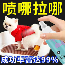 Pet kitty dog-inducing agent bowels on the toilet pee urine pull poop positioning fixed point defecation training liquid guide
