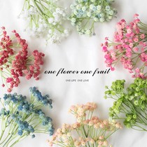 Pusoft glue feel hipster manufacturers all over the Sky star wholesale simulation flower fake flower plastic flower home decoration wedding