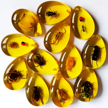 带虫子的琥珀-带虫子的琥珀促销价格、带虫子的琥珀品牌- 淘宝
