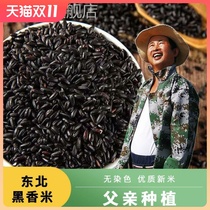 2021 New Rice Northeast Black Rice Farm Black Fragrant Rice Non-dyed Five Grains Black Rice Brown Rice Purple Rice