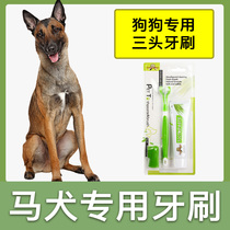 Dog special toothbrush package puppy toothpaste brush teeth with teeth cleaning products finger sleeve