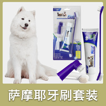 Samoye special toothbrush package puppy toothpaste brush teeth with teeth cleaning products finger sleeve