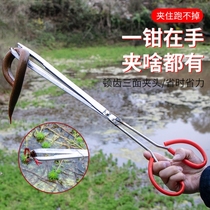 Yellow Eel Clips Stainless Steel Eel Clips Clay Loach Crab Pliers Non-slip Anti-Off Tools To Catch Sea God