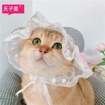 Lady afternoon tea Net red ins pet cat hat headgear cute dog lace hat sunscreen headdress