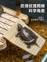 Tortoise Climbing Turtle House Building View Turtle Cylinder Shelter From House Deep Water Turtle Floating Island Fishbowl Lounge Terrace High Water Level Tan Turtle Table