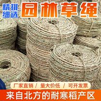 Straw rope straw rope strapping rope garden winding tree thick and thin insulation straw rope encryption and binding of various specifications rope