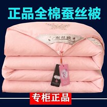 Winter quilt padded warm silk quilt winter thick quilt 12kg winter cover large quilt air conditioner summer quilt