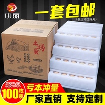 Pearl Cotton Egg Boxed Egg Box Delivery Anti-Fall Foam Sustentatory Egg Topack Anti-Shock Special Packaging Carton