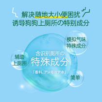 Japanese Pooch on Toilet Inducers Dog Bowels Training Fixed Point Urinals Pets Defecation and Poo Boots the Divine Instrumental