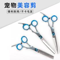 Pet Beauty Scissors Professional Hairy Cut small Puppy Hair Cut Tool Suit Teddy Bibi Bear Haircut Dog Hair Scissors