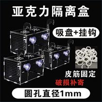 Acrylic isolation box free punch square Betta box transparent plastic box hermit crab molting box miniature