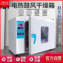 Electric Heating Thermostatic Blast Drying Cabinet Laboratory Industrial Small High Temperature Oven Vacuum Aging Dryer Oven