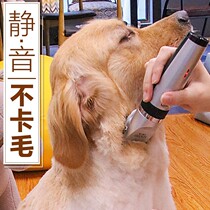 Dog shave pet electric tweet cut professional kitty electric pushback large dog mute dog hairy teddy hairdresser