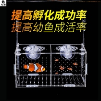 Large Peacock delivery room pregnancy fish net production anchovy partition spawning inner tank tank tank tank tank small