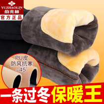 Yu Zhaolin cotton pants men's winter plus velvet padded wear warm elastic large size cold-proof northeast backing extra thick cashmere pants