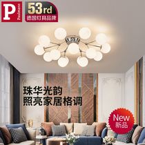 German Berman Nordic Living room suction ceiling lamp 2021 New led minimalist modern atmosphere light and luxurious lamps main lamp