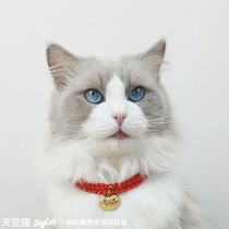 Cat Long Life Lock New Year Cat Collar Cat Brand Xiao Mao Supplies Cute Necklace Festive Pet Jewelry