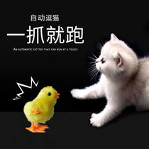 Cat Toys Self-Hi Cat's Depressed Artifact Tamming Cats Simulation Toy Plush Cushion Chicken Cat Toy Supplies