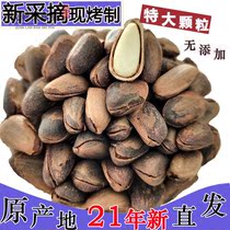 2021 new goods extra large granules Northeast red pine nuts hand-peeled open wild bulk nuts 500g