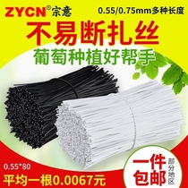 055 iron wire silk thread succulent climbing vine fixed tie-line grape gang branch tie tie thin iron wire with branch