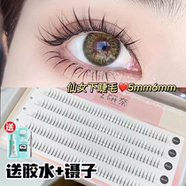 Art Research Nai Eyelash Fake Eyelash Fake Eyelash Women Combine 5 6mm Natural emulated segmental graft single-cluster eye lash stickup