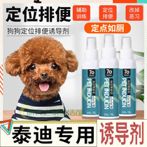 Teddy Special Inducers Doggy Bowels Fixed Point Training Anti-Dog Urine Supplies God Instrumental Urpee Pull Shit Guide Urine