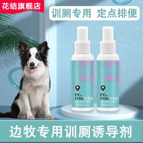 Side Pastoral Special Guide Dogs on Toilet Supplies Inducers Relieve pets Pet Pinpoint Defecation Anti-Urine Training