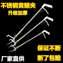 Yellow eel special clip non-slip stainless steel yellow eel clip mud loach and snake tool eel pliers lengthened crab clip litter