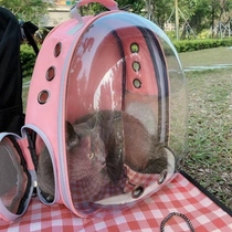 Hot Selling Source Manufacturer Cat Bag Pet Bag Out Portable Space Cabin Bag Pooch With Double Shoulder Pet Backpack Kitty