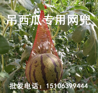 Сумка пакеты с мешками пакеты пакет пакет пакет мешки с пакет