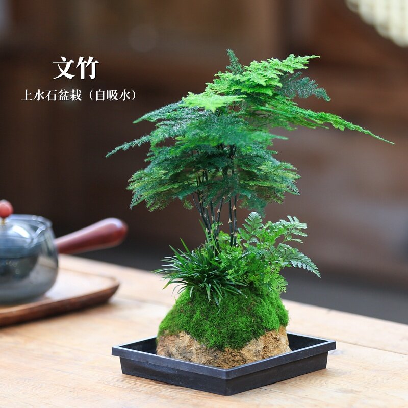 竹葉石 水石 鑑賞石 盆栽石 盆栽 竹葉石 水石 鑑賞石 盆栽石 盆栽 水石』盆石 盆栽 鑑賞石 自然石