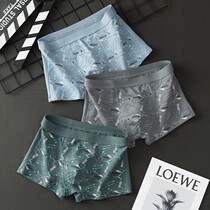 Total Cotton Age Underwear Male Trend Personality Teen Bottom Pants Comfort Loose Breathable Pants Underpants All Cotton Flat Corner Pants Head