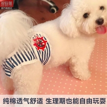 Things Dogs Pure Cotton Warp Physiological Pants Kokie Autumn Dog Fields Farduel Pamper Teddy Safety Moms Pants Mother Pregnancy Aunt Pants