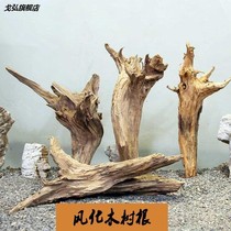  Tree root material build view root carved wool withered wood withered tree digy hand material climbing flatbed Amphibious Tank Rain Shower Vat Fabrication