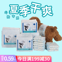 Dogs pee not wet Pet paper urine pants public dog special Bears teddy boy Teddy boy pants puppy diaper anti-piss
