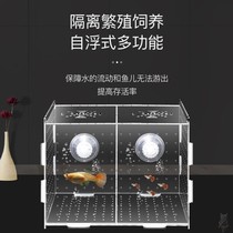 Pregnancy Doog Clown G Fish Raw Fish Sucker Seven Colorful Fish Hatchbox Peacock Fish Motherfish Separator Fish Tank Isolation