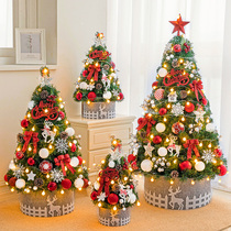 Premium sense Christmas tree home package large Christmas tree Christmas decoration decoration ins wind lighting high end