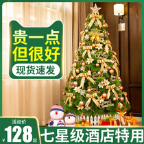 Christmas tree ornament home set 60cm 1.2 1.5m pine needle encrypted large Christmas decoration pendant