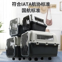 National Air Pet Avionics Box Aircraft Consignment Kitty Dogs Small Medium Sized Large Dogs On-board Air Travel Outside Cage
