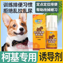 Kokie special dog on the toilet to locate the defecation-inducing agent to relieve the bowels of the pet pee supplies Urine Urine supplies Pull Shit
