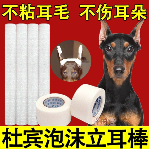 Особые уши Дубин палка с ухой ушной уш