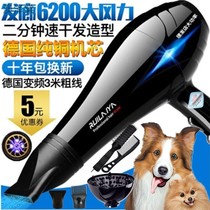 Blue Dolphin Pet Water Water Dog Special Dog Hairdryer High Power Cat Teddy Golden Hair Blower Artificial