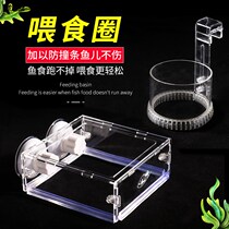 Fish tank floating feeding ring tube water group acrylic transparent feeder bucket hook suction cup for feeding fish grain anti-drifting