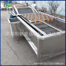 Fully automatic fruit and vegetable cleaning machine stainless steel bamboo shoots bubble cleaner skirt with vegetable kelp wire cleaning equipment