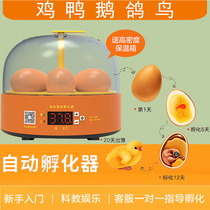 Egg incubator small household automatic intelligent egg turning water bed incubator rutin chicken duck goose bird parrot Xuanfeng pigeon